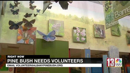 Albany Pine Bush Preserve seeks volunteers