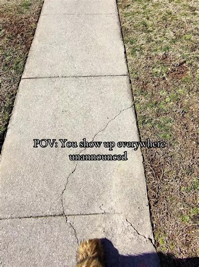 Surprising Unannounced Visits in College Life