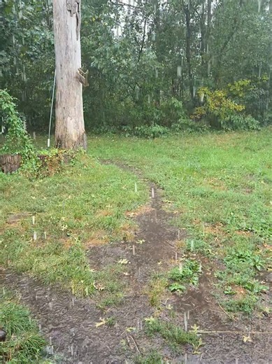 Understanding Feelings of Self-Hate and Alienation