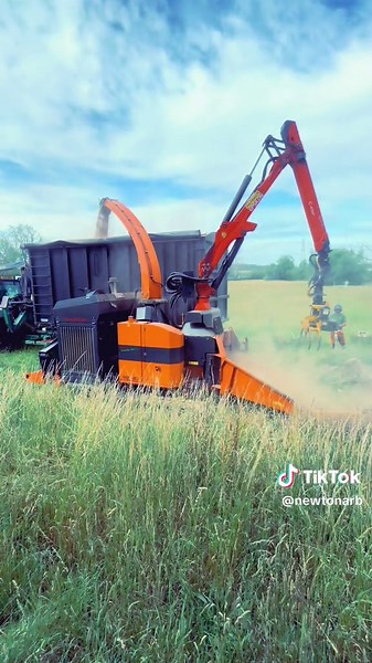 Expert Tree Work Techniques for Safe Felling