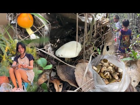 Today's mushroom foraging was a success! || Mushroom Foraging