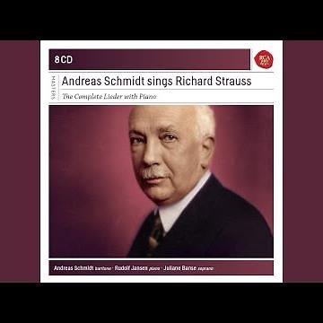 Lieder, Op. 19 (from "Lotosblätter"): Breit' über mein Haupt dein schwarzes Haar