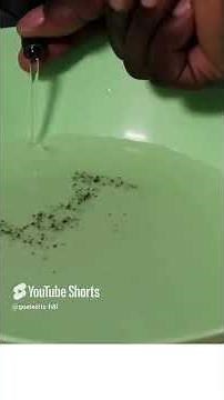 How to drain a Samsung Washing Machine like a pro