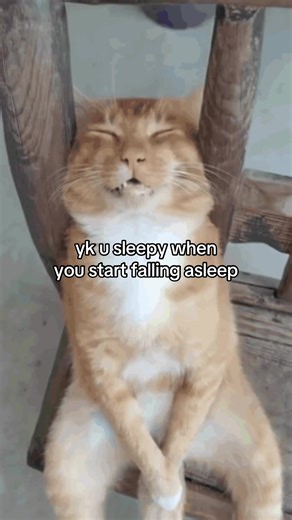 Relatable Sleep Memes That Make You Laugh