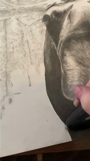 “Maine” Moose graphite drawing process