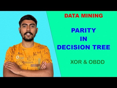 Parity | Decision Tree Optimisation | OBDD | Feature Engineering