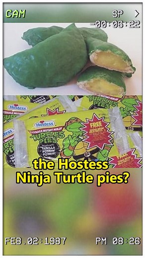 Anyone else remember the Hostess Ninja Turtle pies? #nostalgia #childhoodmemories #1990s #2000s #usa #kids #90s #throwback #retro | Nostalgia 90's