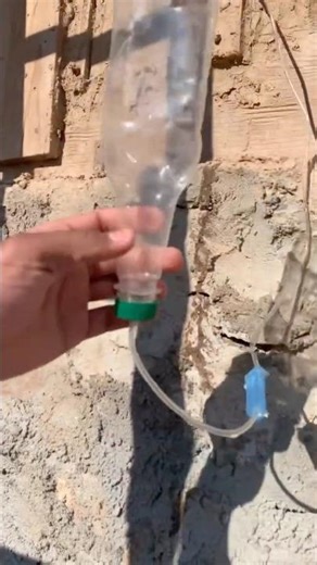 🐝how to feed your honey 🐝 New tips is lanced 😱