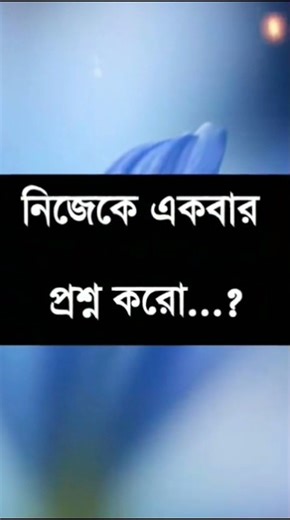 #unfrezzmyaccount #lovesong #hariyanvisong #songlove #love #december21st #foryou #sad