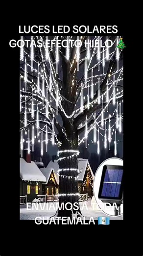 ¡OBSESIÓN TOTAL! 😍❄️ *LUCES GOTAS DE CRISTAL LED* ✨ ☀️ CON PANEL SOLAR 💡 Iluminan HERMOSO de noche ❄️ Efecto hielo cristalino 💎 🎄 Para tu árbol, sala o balcón 💚 Luz blanca fría - Súper elegante 🔥 ¡Pocas disponibles! 👇 PIDE LAS TUYAS YA 📲 #navidad #viral #clientes #guatemala #parati