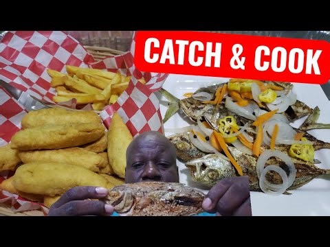 CATCHING BLUE RUNNER JACKS| OLIVER'S FISHING JOURNEY | CALM AND RELAXING FISHING ADVENTURE