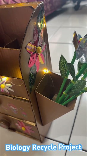 Biology Project : Making things from recycled Materials :)