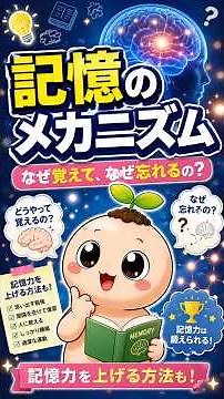 記憶のメカニズムとは？なぜ覚えて、なぜ忘れるのかをわかりやすく解説🌱