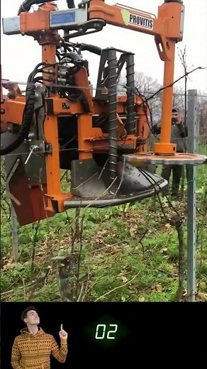 Crane Cutting Trees, Lifting Branches & Cleaning Heights – So Satisfying 🌳💥