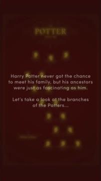 The Potter family tree #HarryPotter #JamesPotter #LilyPotter