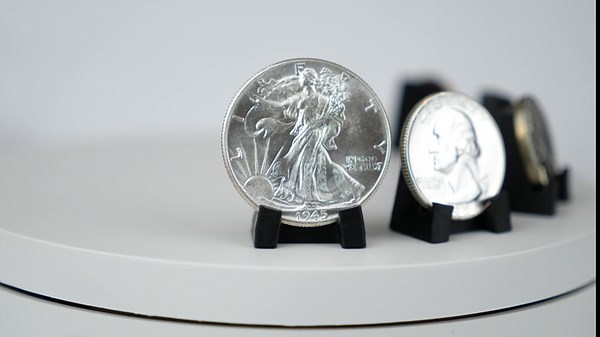 Pineapple Coin Display Stand Holder Easel Coin Stands for Display One Coin Holders Small Plastic Collector (10 Pack)