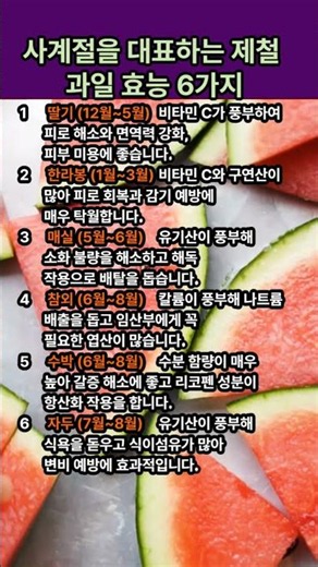 사계절을 대표하는 제철 과일 효능