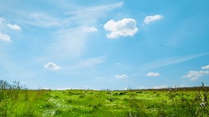 Clouds flow over green meadow