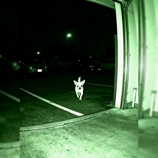 樂Are you smarter than the average Brit? The average IQ in the UK is...