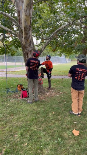 2025 Michigan Tree Climbing Competition in Midland | Mid-Michigan NOW