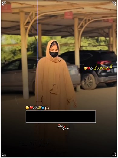 HyE AbDuL SaTTaR 🥺🙌🏻💗اساں تیکوں نال ٹرونڑاں#MianWaLi #HamZaGraPhy #SaRaKiStatuS #MianWaLi #HamZaGraPhy