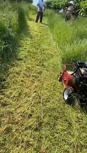 Flexible Self-Propelled Garden Grass Cutting Machine