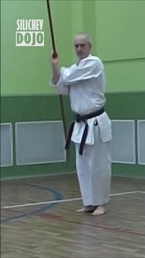 Bo Kata Training | Okinawan Kobudo
