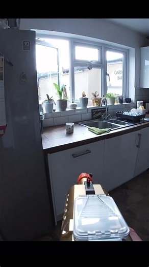 Effective Strategies for Fly Control Using Bug A Salt