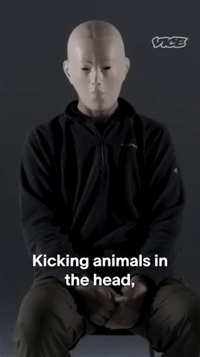 An informer shares the disgusting things they witnessed in factory farms. | VICE