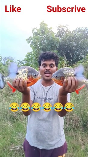 #flying fish#fishing#trending #funny#hunting#entertainment #funny #vizianagaram #