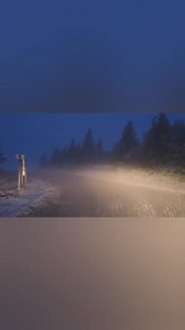 Spruce Knob 10/15/24 | Allegheny Mountains Weather