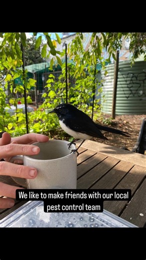 28 reactions · 5 comments | At Perth City Farm, we use Integrated...