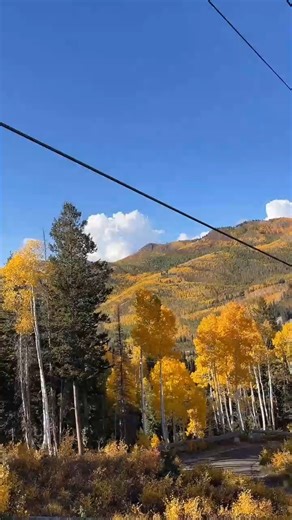 It’s closing weekend and your last chance for: 🚵 biking 🍁 scenic lift rides 🧗 the adventure park | Solitude Mountain Resort