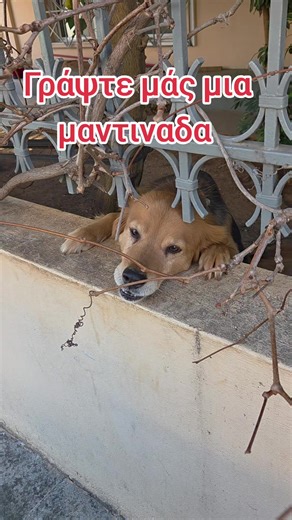 Περιμένουμε τσι μαντινάδες σας από όλη την Ελλάδα. #Κρητική #φιλοξενία #καντάδα #μαντινάδες