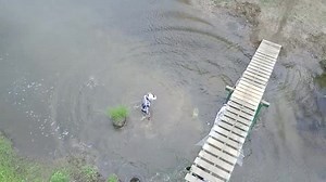 Motorcyclist Falls off Teeter-Totter