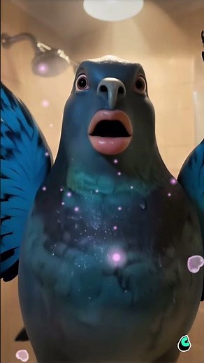 Twinkle twinkle little poop💩 #aivideo #ai #cantinaai #pigeon #brainrot