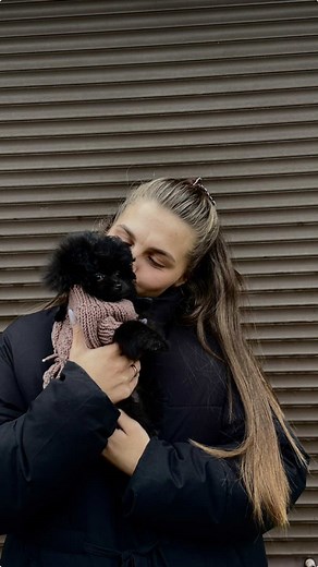 Моя Ави🩶 #рекомендации #рекомендации❤️❤️ #топ #собака #собакадругчеловека #памапу #памапушка #любовь #реки