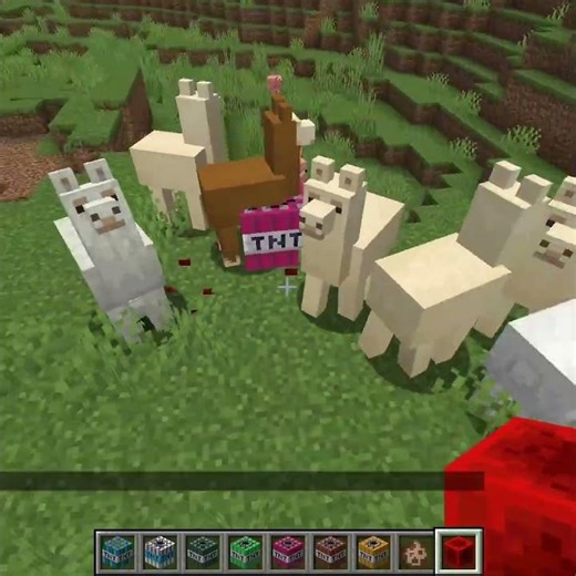 Tnt vs Mob 226
