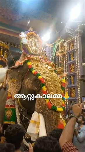 ആറ്റുകാലമ്മ എഴുന്നള്ളിപ്പിനായി ഇറങ്ങുന്നു😍 #aattukal#devi# trivandrum#procession#shorts