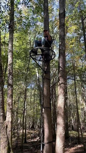 Millennium 360 lock on tree stand! Ready for Deer Hunting! #deerhunting #treestand #millenium360