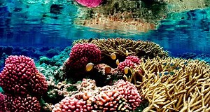 Top 5 “Science Done Wrong” Moments in Movies