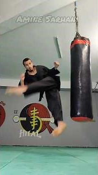 The Art of Kick 🔥🥋 Martial Arts World #martialarts #taekwondo #kicks #spinningkick #capoeira