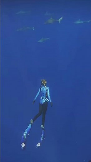 Can you hear the whales? 🐋 #whale #hawaii #underwater #song #1