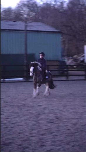 ✌🏻😋 #vault #xybzca #foryoupage #manny #mountedgames @Mounted Games World