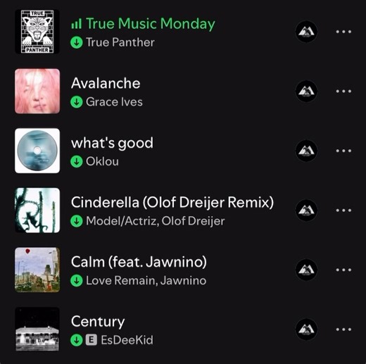 True Panther Sounds on Reels