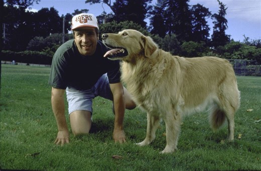 What happened to Air Bud Buddy? What we know as Golden Retriever owner Kevin DiCicco dies at 63