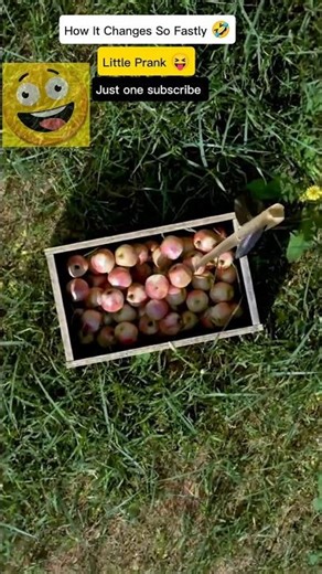 How This changes Fastly 🤣 || Laugh challenge 😂 #ytshorts #trending