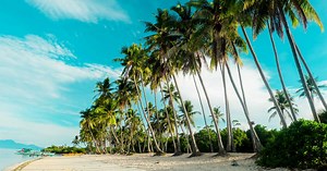 Cebu, Bohol, Siquijor : quelle île paradisiaque du centre des Philippines choisir ?