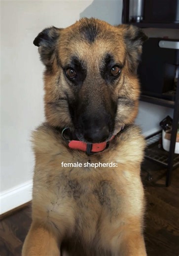 The Tough Love of a Lover Girl