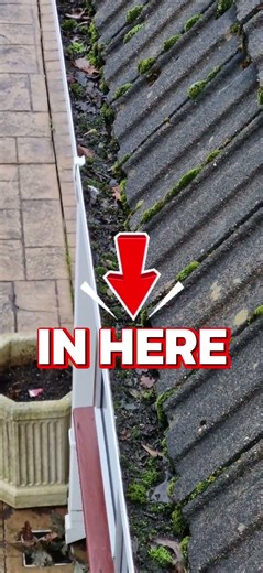 The Shocking Truth About Gutter Inspections